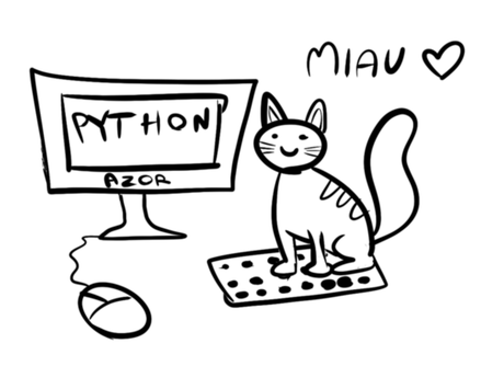 Nadruk Python miau kot azor dla informatyka programisty - Przód